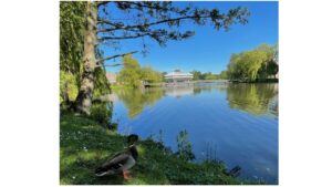 University of York, Department of Biology