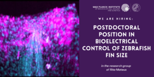 Max Planck Institute of Molecular Cell Biology and Genetics