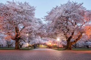 Shechner Lab, Department of Pharmacology, University of Washington