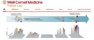 Weill Cornell Medicine