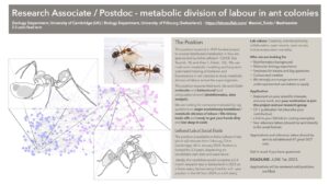 University of Cambridge