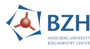 Heidelberg University Biochemistry Center