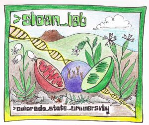 Colorado State University