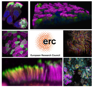 MRC Human Genetics Unit, University of Edinburgh