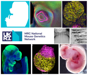 MRC Human Genetics Unit, University of Edinburgh