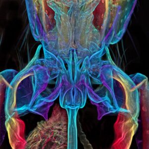 University of Delaware