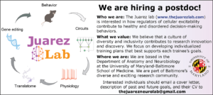 University of Maryland-Baltimore, School of Medicine, Department of Neurobiology