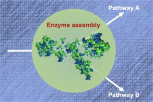 J. Heyrovsky Institute of Physical Chemistry, Czech Academy of Sciences