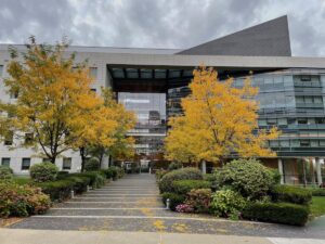 Albert Einstein College of Medicine