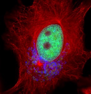 Justus Liebig University