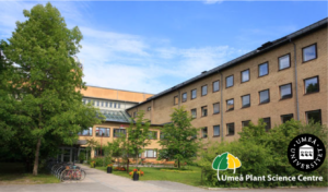 Umeå University