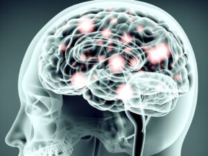 Thomas Jefferson University