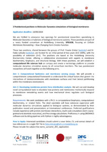 Heidelberg University