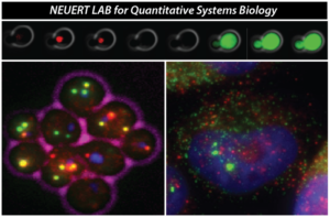 Vanderbilt University