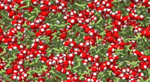 Max Planck Institute for Polymer Research