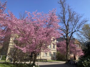 Lund Stem Cell Center
