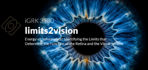 Institute of Ophthalmic Research, Center for Ophthalmology Tübingen