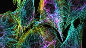 Institute for X-Ray Physics, University of Göttingen