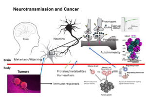 Cold Spring Harbor Laboratory