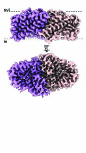 University of Michigan