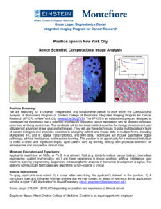 Einstein College of Medicine